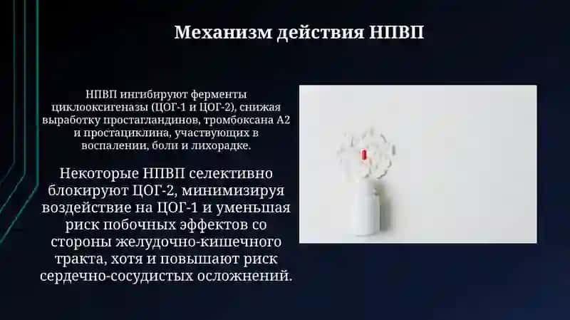 НПВС 4