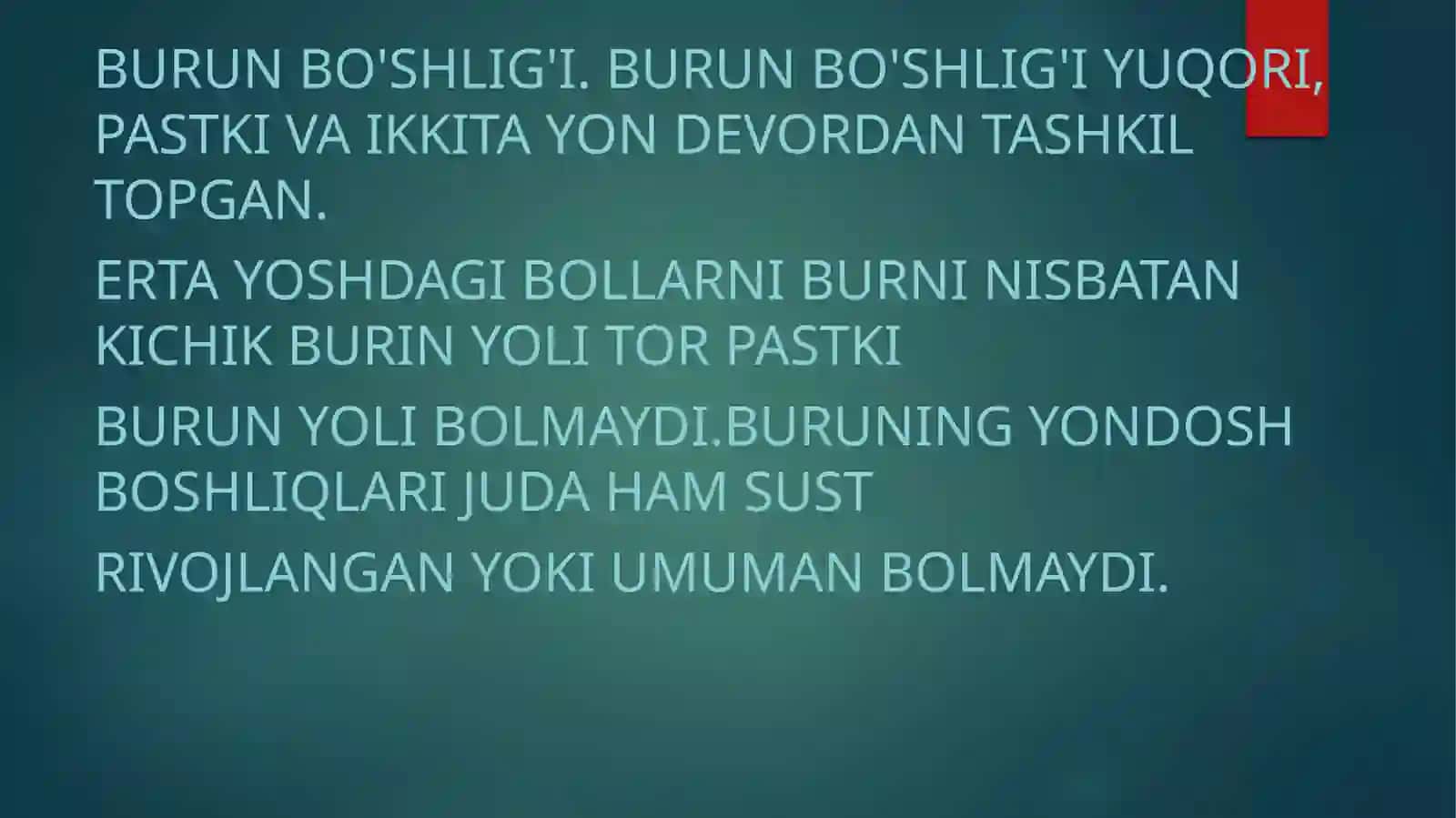 Burun, xalqum va xiqildoq trahaya Bronx va o’pkaning anato-fizialogik xususiyatlari 4