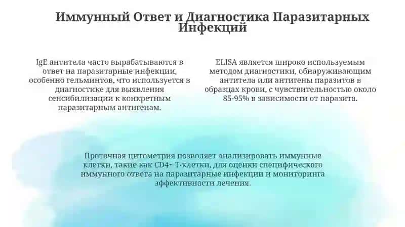 Презентация 4