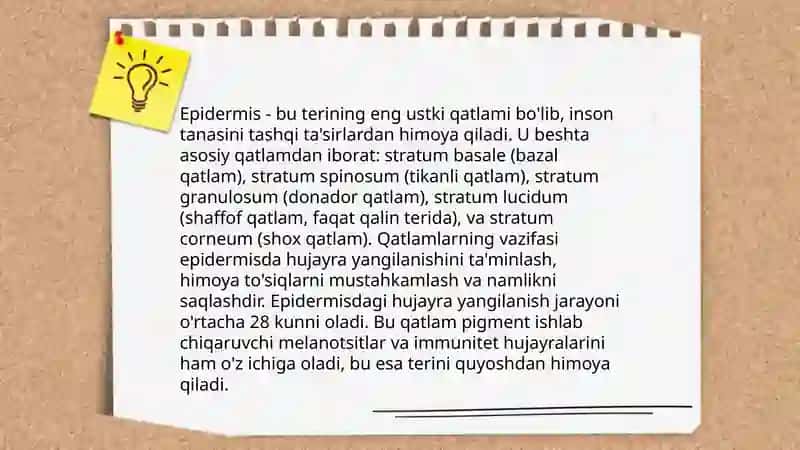 Teri qatlamlari va yara bitish gistologiyasi 4