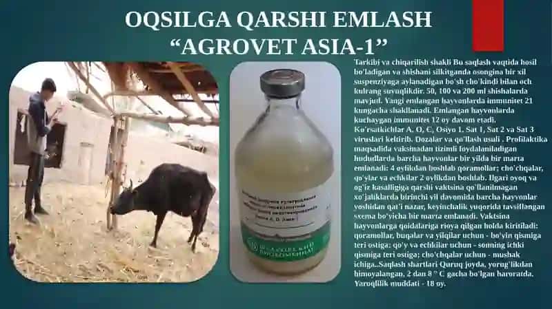 TALABASI TO'XTABOYEV MADIYORNING MALAKAVIY AMALIYOTDAN TAYYORLAGAN TAQDIMOTI 4