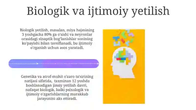 Psixik rivojlanish tushunchasi va uning asosiy qonuniyatlari 4