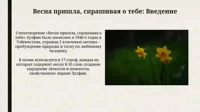 День поэзии.Зулфия " Пришла весна, спрашивает о тебе" 4