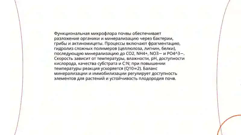 Экология микроорганизмов. Микрофлора почвы, воды и воздуха 4