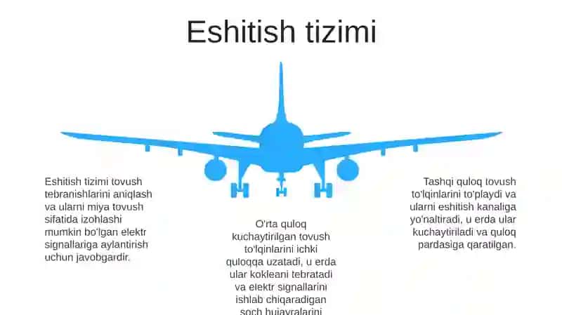 Somatosensor tizimi 4