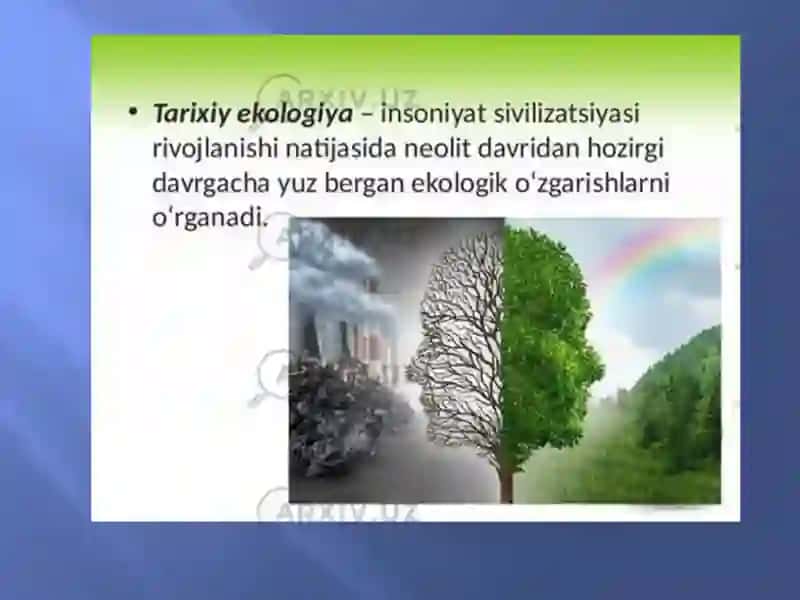 Inson  ekologiyasining zamonaviy holati 4