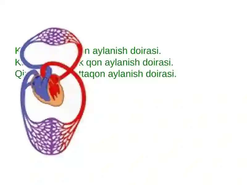 Yurak qon tomir patologik fiziologiyasi 4
