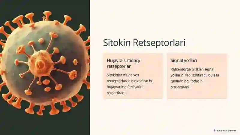 Sitokinlar.Interferon.Ularning tasnifi. 4