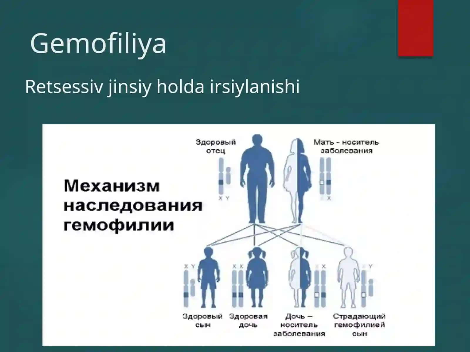 Gemofiliya 4