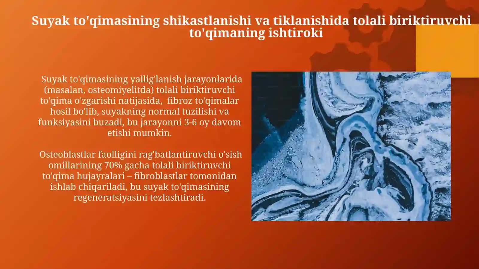 Suyak va Tolali Biriktiruvchi To'qimalarning O'zaro Munosabati 4