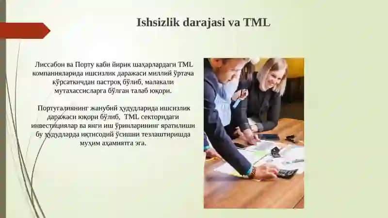 Portugaliya TMKlar boshqaruv faoliyati Iqtisodiy koʻrsatkichlari Biznes yuritish madaniyati 4