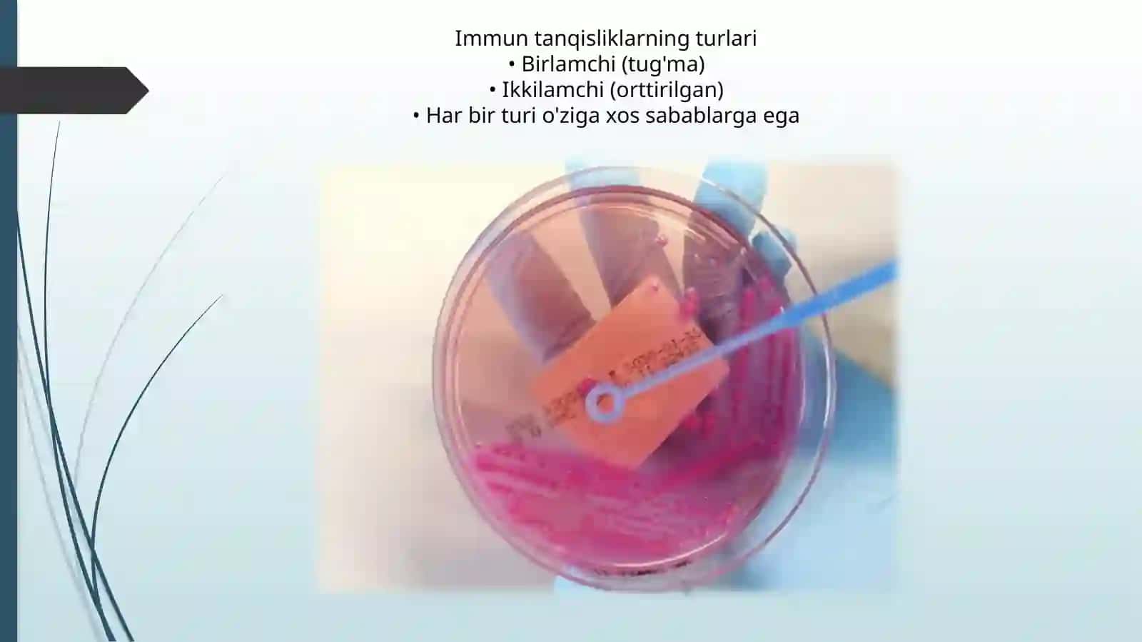 Immuntanqisliklarda opportunistik infeksiyalar kelib chiqishining molekulyar mexanizmi 4