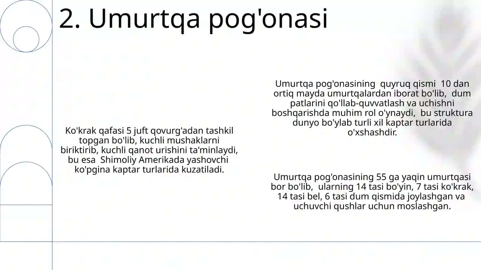 Kaptararning skeleti va pat tuzilishi 4