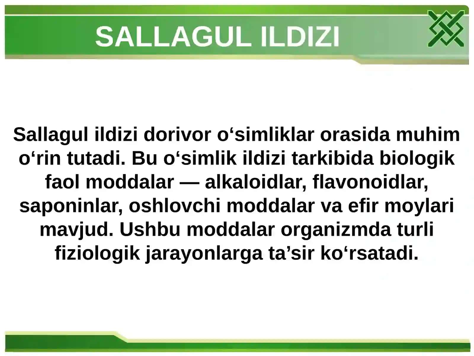 Sallagul ildizi, ildizpoyasi va qovoq urug‘i 4