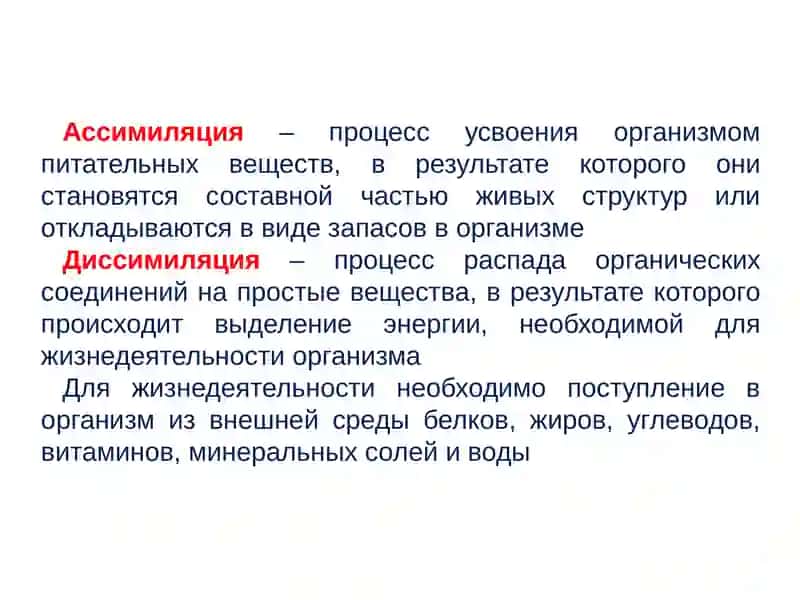 Moddalar va energiya almashinuvi yosh xususiyatlari va gigienasi. Vitaminlar 4