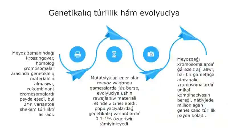 Meyozboliniwdinbiologiyaliqahimiyeti 4