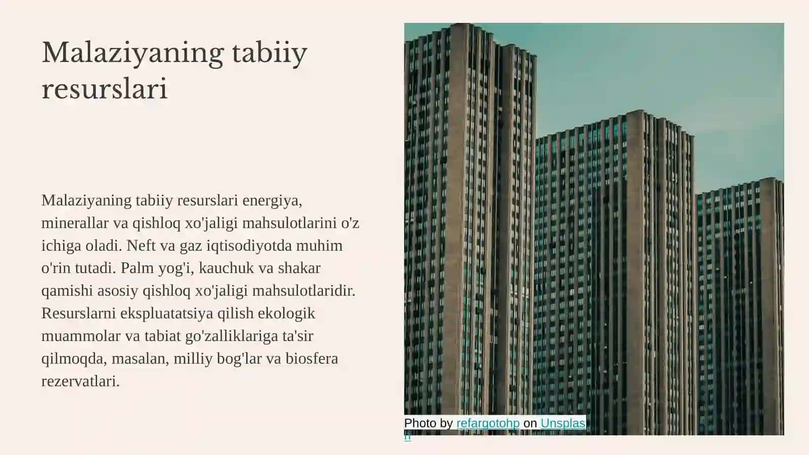 Malaziyaning iqtisodiy geografik va turistik tavsifi 4