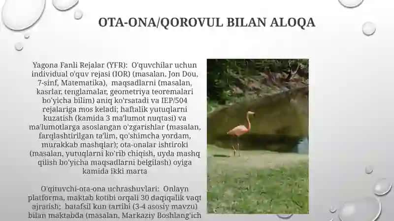 Yagona schotlar rejasi,ularni tayinlanishi va tarkibi 4
