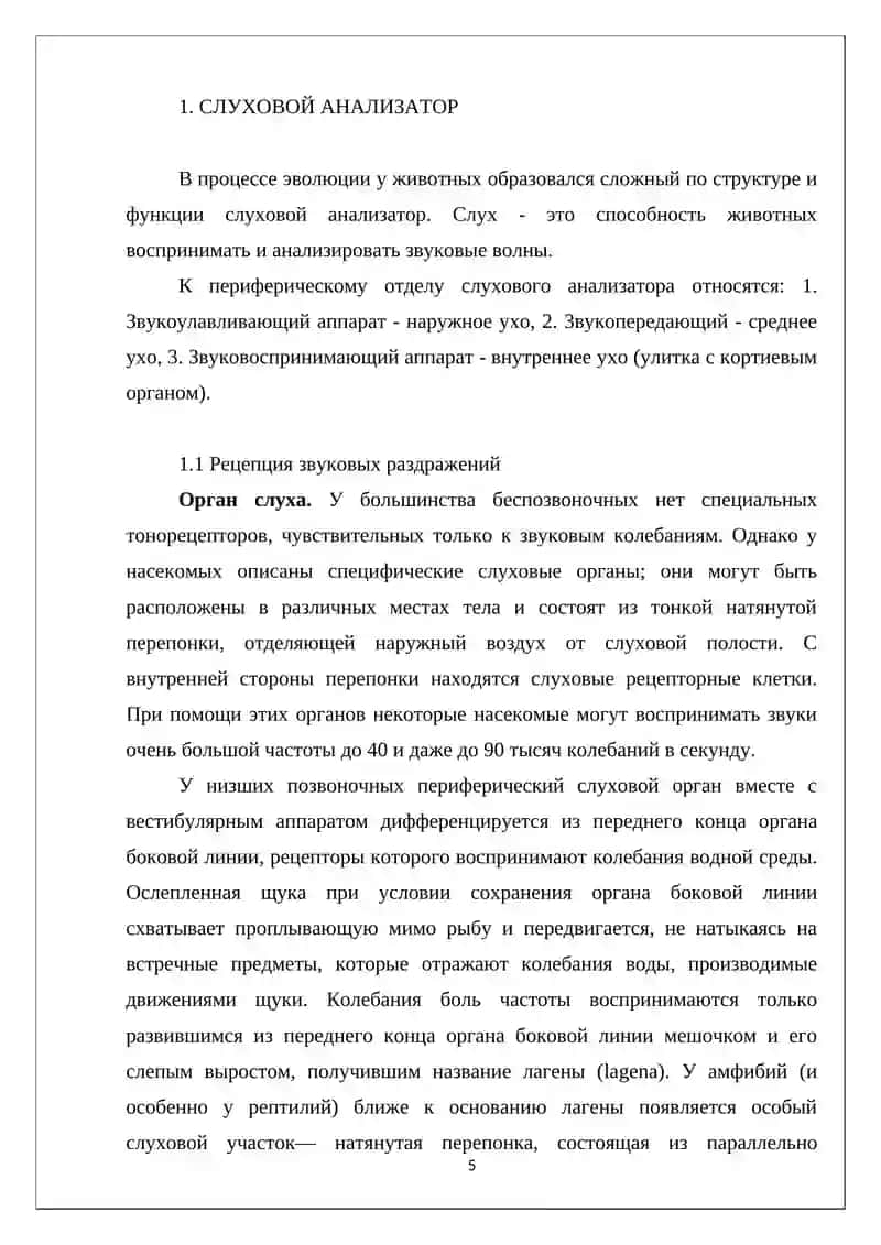 ОСОБЕННОСТИ ГИГИЕНА ЗРИТЕЛЬНОГО И СЛУХОВОГО АНАЛИЗАТОРА 4