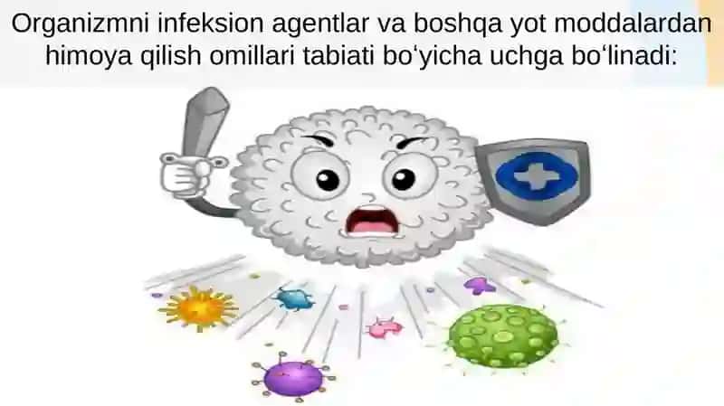 Tug’ma immunitet mexanizmlari(komplement, fagositoz) 4