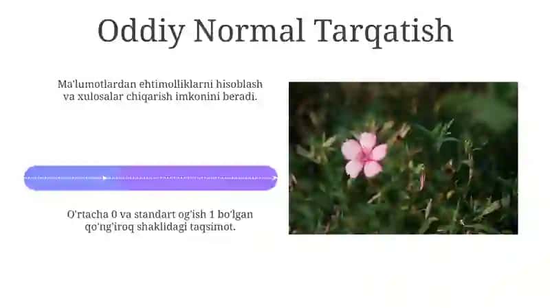 Normal taqsimlanishining nazariy tatbiqiy jihatlari 4