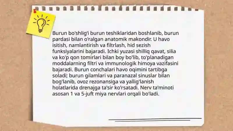 Nafas tizimi aʼzolari 4