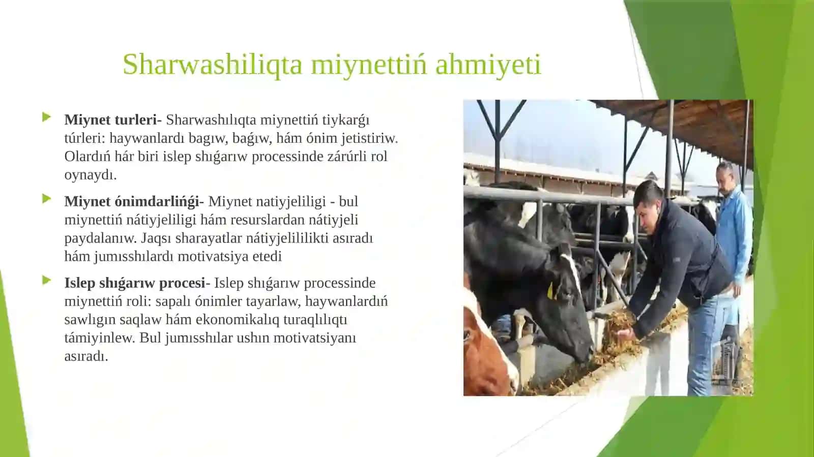 Sharwashiliqta menejment ham islep shiǵariwdi shólkemlestiriw 4