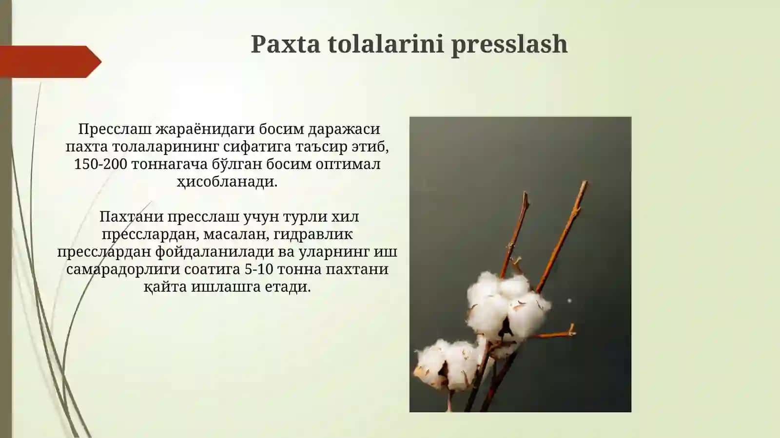 Paxta momig'ini tozalash jarayoni 4