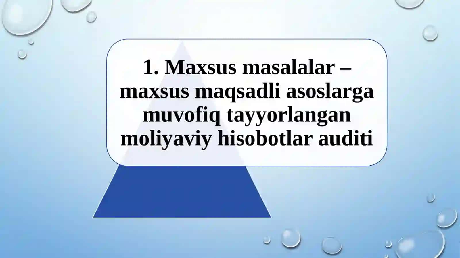 AUDITNING MAXSUS JABHALARI VA UNGA XIZMAT KO‘RSATISH 4