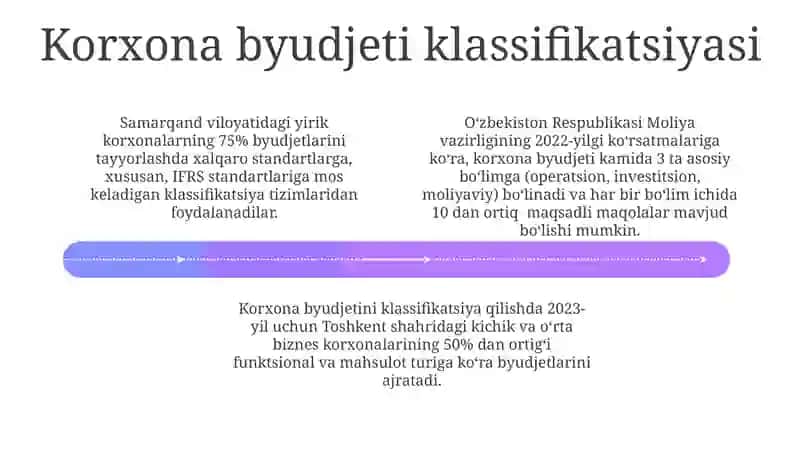 Byudjet tasnifi 4