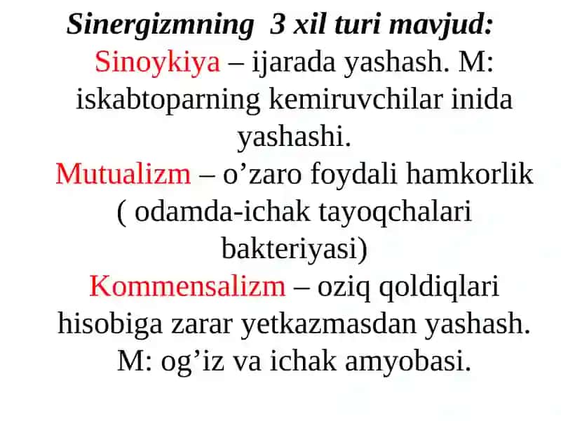 UMUMIY FANLAR KAFEDRASI 4