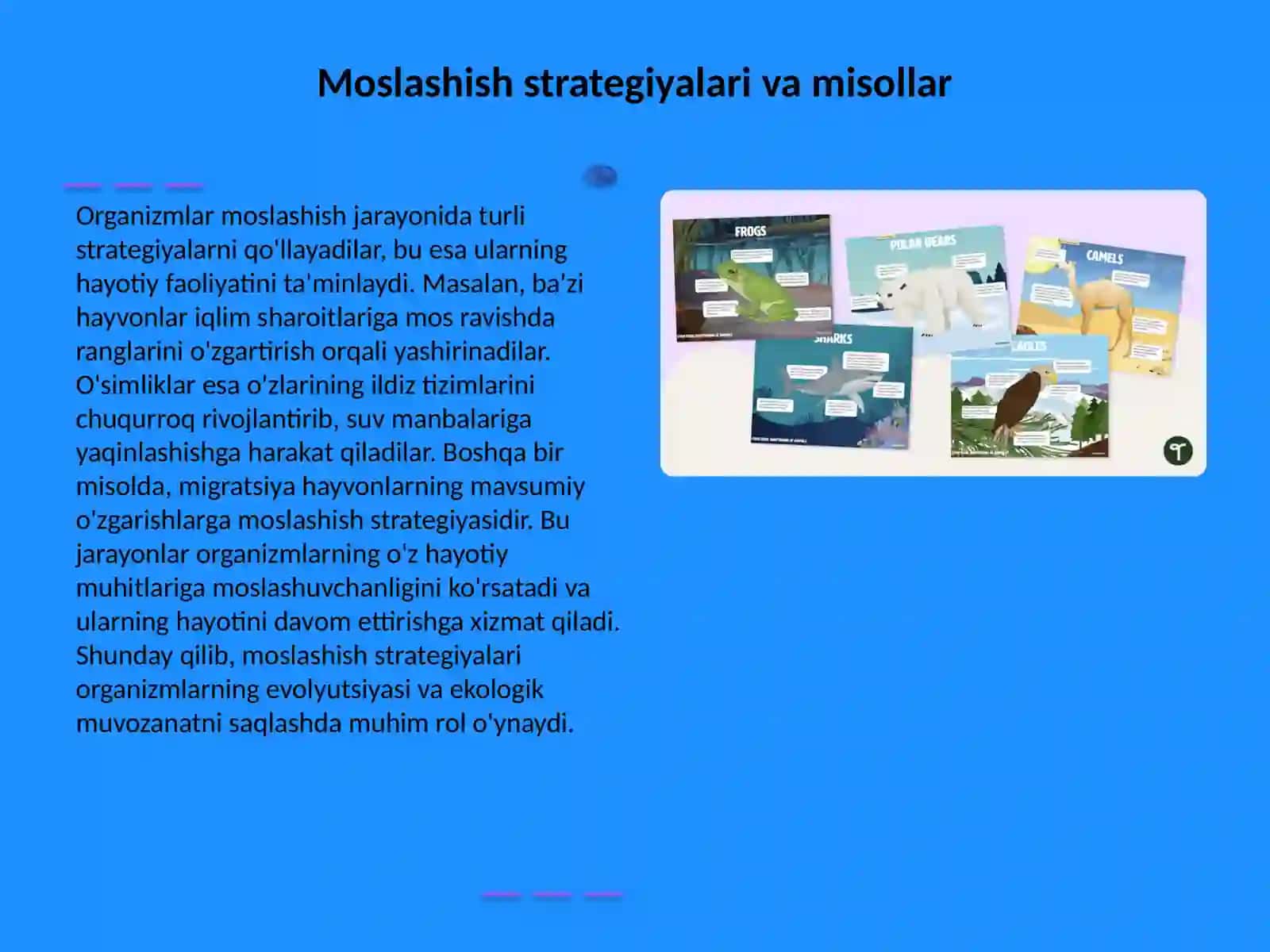 Organizmning moslashishi va uning bosqichlari 4
