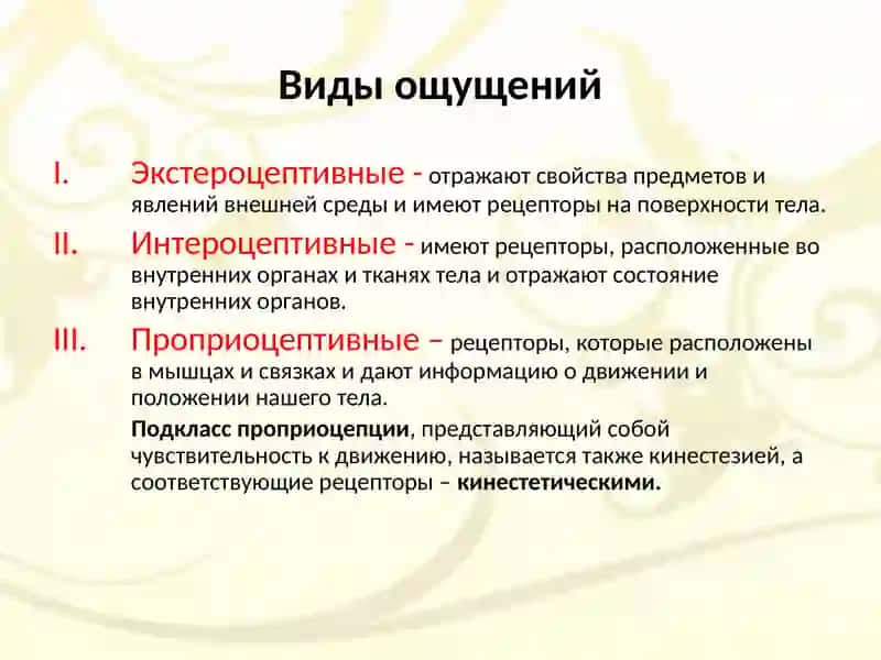 Ощущения восприятие 4