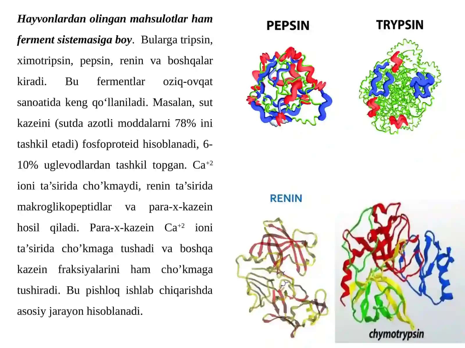 Fermentlardan xalq xo’jaligi va sanoat mahsulotlari olishda foydalanish 4