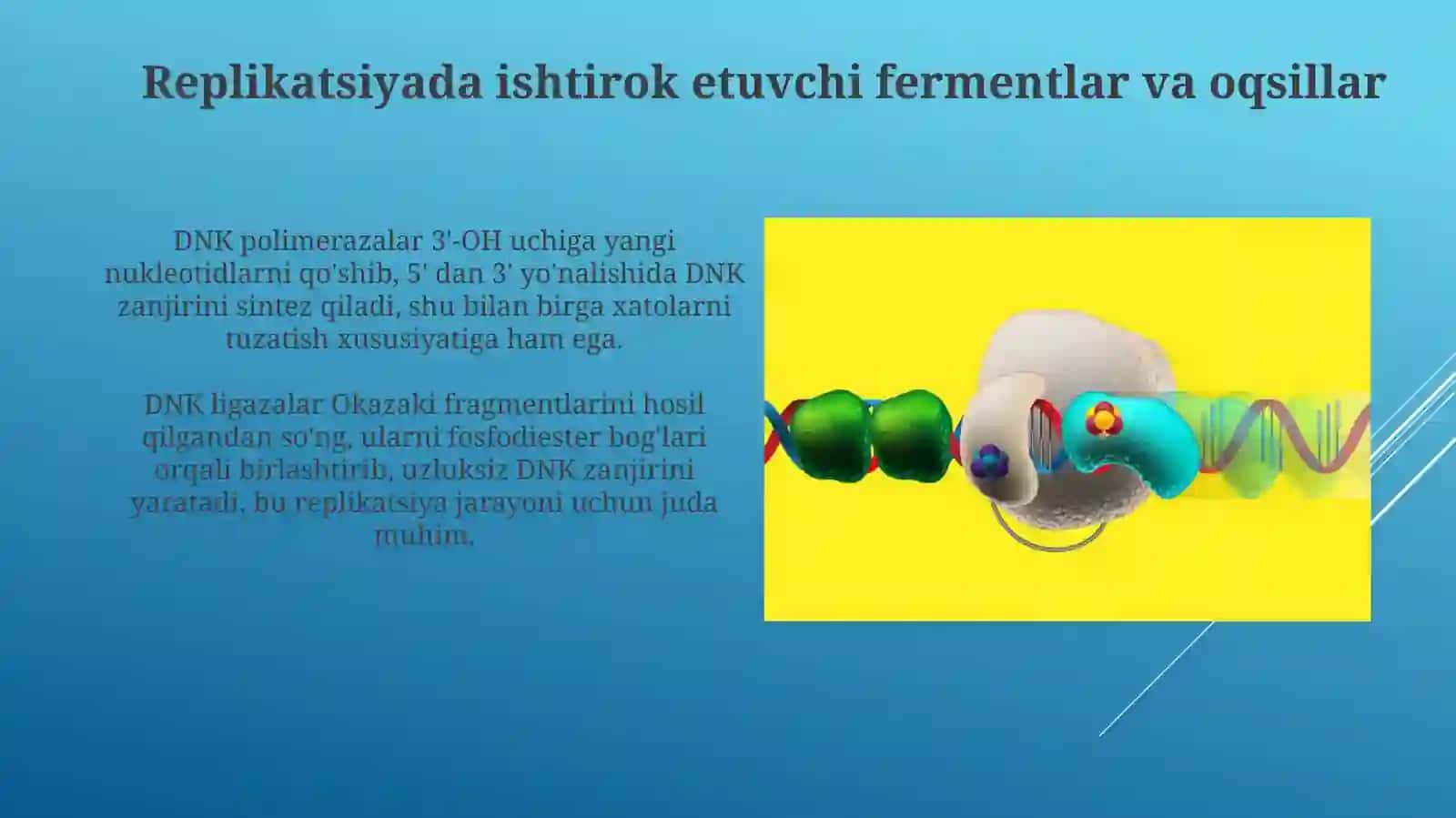 DNKsintezi 4