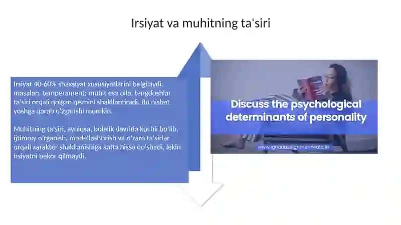 Shaxsiyat rivojlanishining individuallik xususiyatlari va ularning roli 4