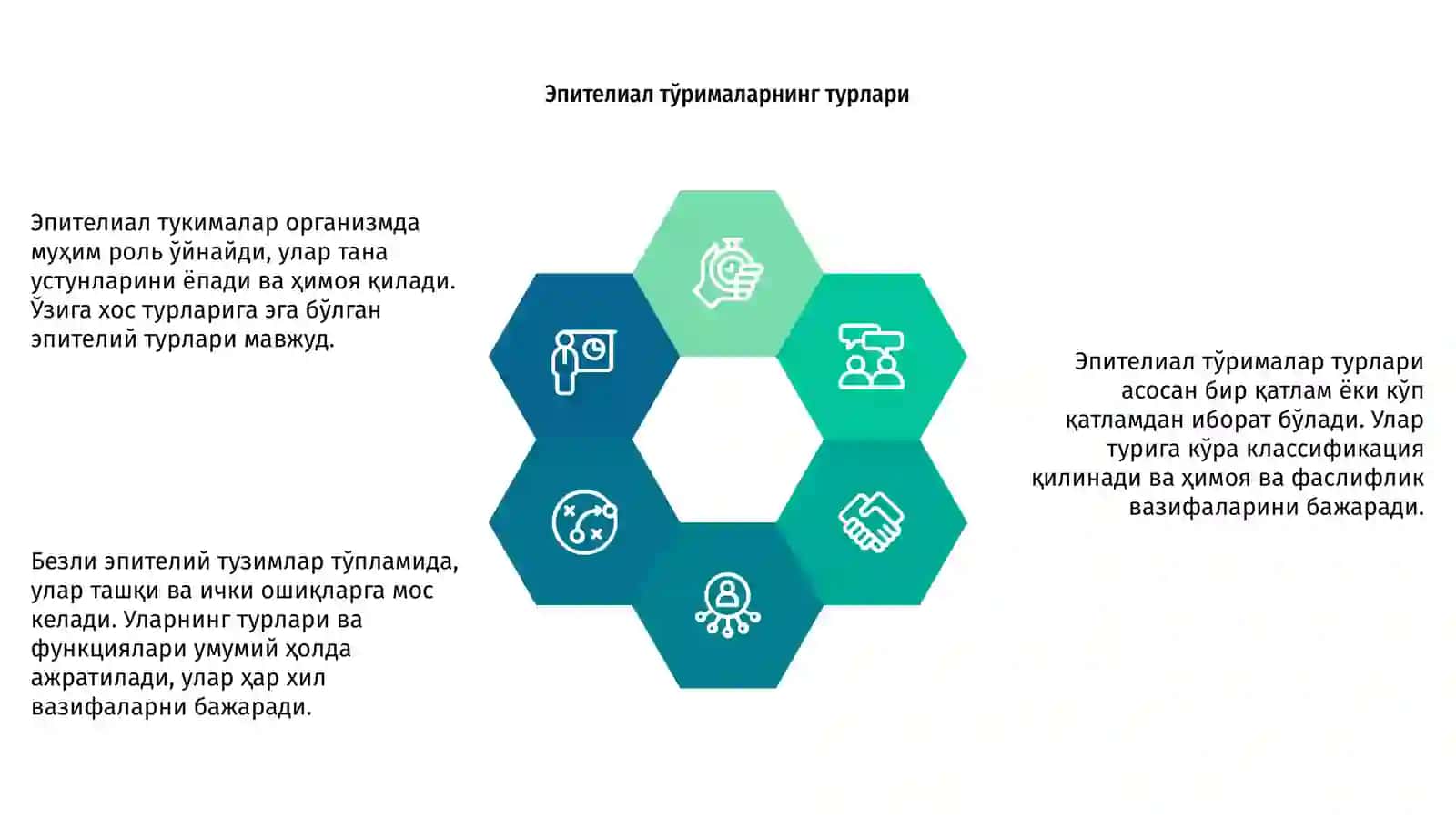 Эпителиал тукималар 4