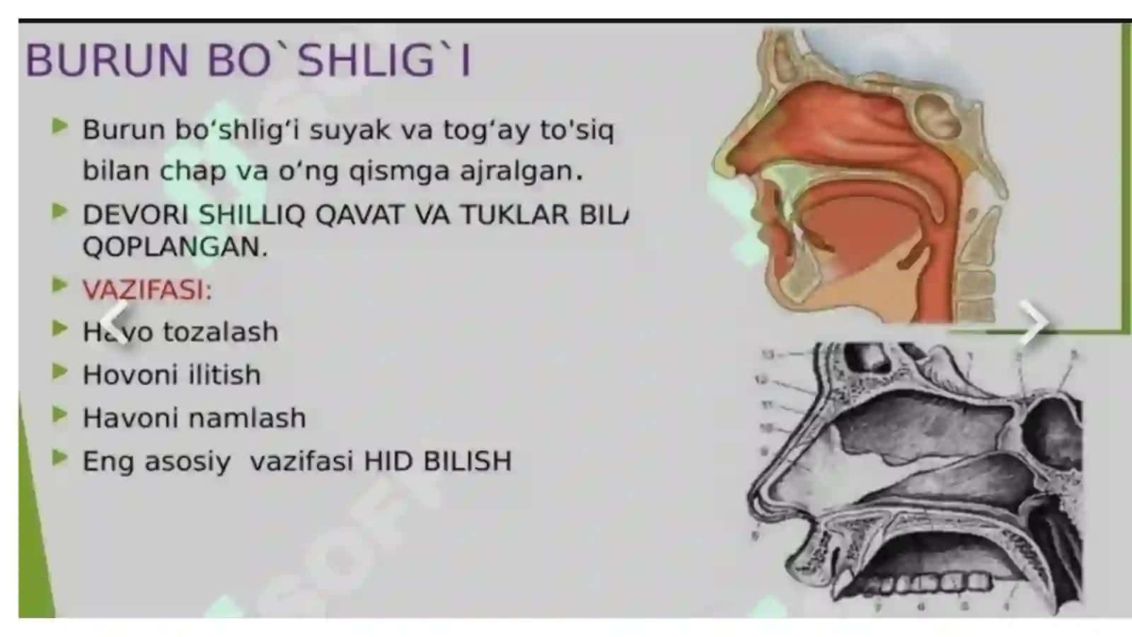 Ko'p tarmoqli tibbiyot texnikumi 4