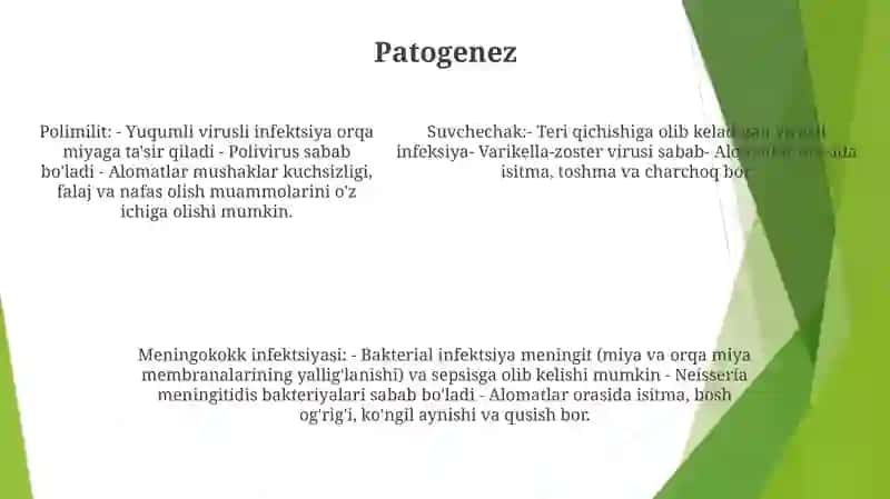 Meningokokli Infeksiya,Polimeylit, Suvchechak, Tepki, Kattalar, Patamorfologiyasi 4
