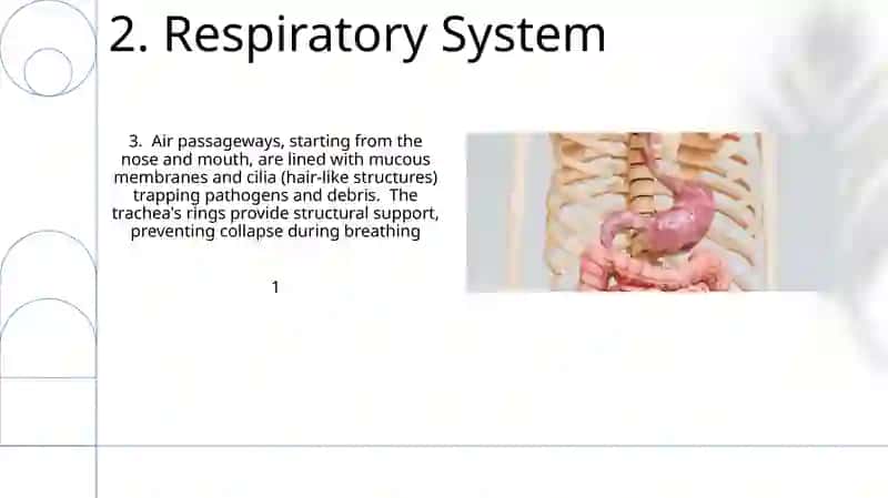 Parts of the body 4