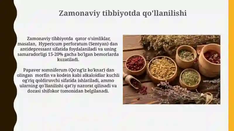 Dorivor o’simliklarning tibbiyotda qo’llanilishi, lotincha nomi va ularning leksik ma’nosi 4