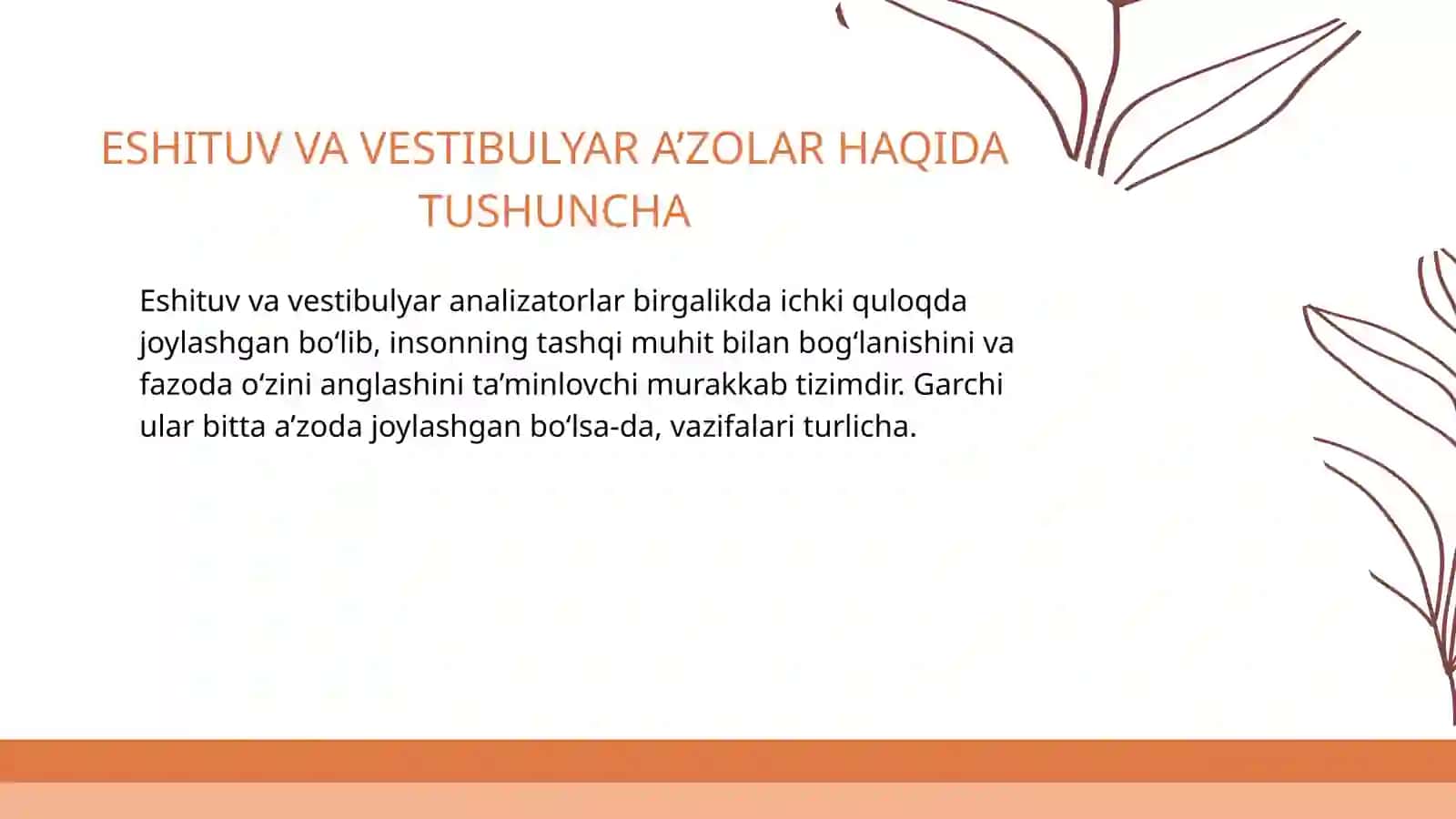 ESHITUV VA VESTIBULYAR ANALIZATORLAR VA ICHKI A'ZOLARNI O'ZARO BOG’LIQLIGI 4