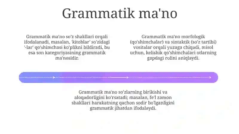 Grammatika: Ta'rif va Ma'no, Grammatik Ma'noni Ifodalash Usullari, Grammatik Kategoriyalar va Zamonaviy Yo'nalishlar 4