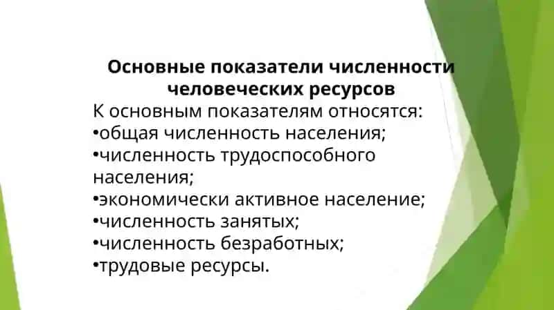 Показатели, характеризующие численность человеческих ресурсов и их изменение 4