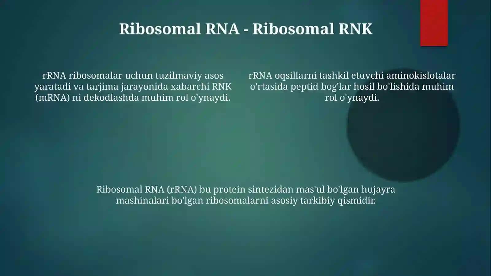 Ribosoma tuzilishi va vazifalari 4