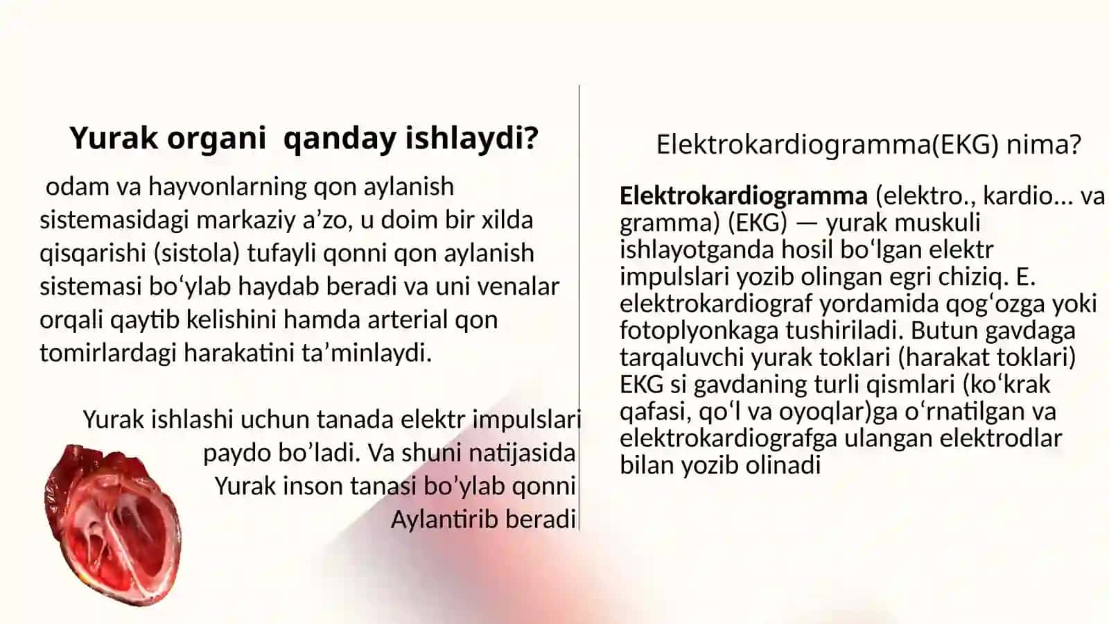 Yurak qon tomir kasalliklari 4