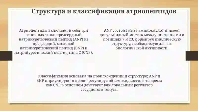 Атриопептиды и их клиническое значение 4