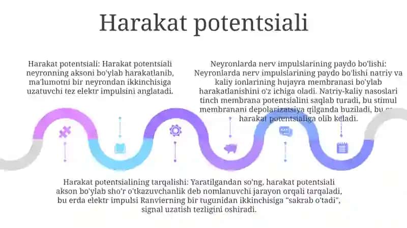 Neyronlarda Nerv Impulslarini Hosil BoʻLish Mexanizmlari 4