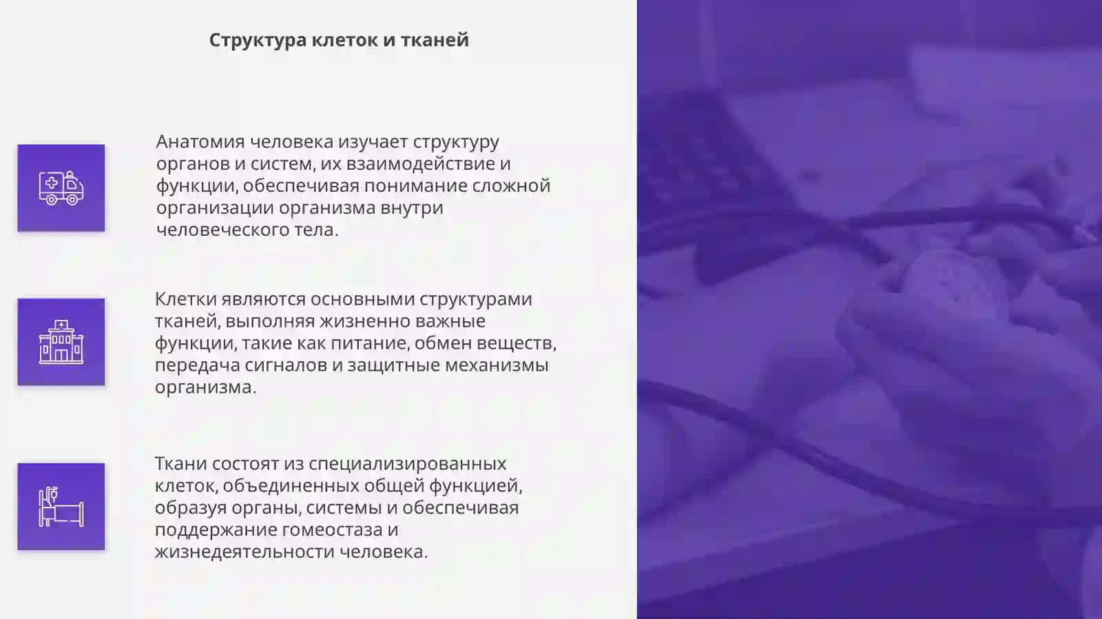 Анатомия и Физиология человека 4