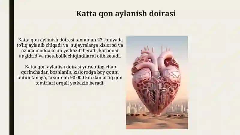 Qan aylaniw sistemasi 4